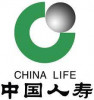 China Life Healthcare Fund